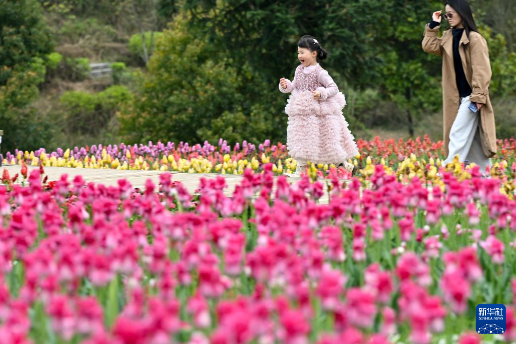 春色如许 莫负花期