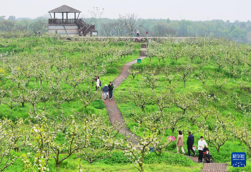 春色如许 莫负花期