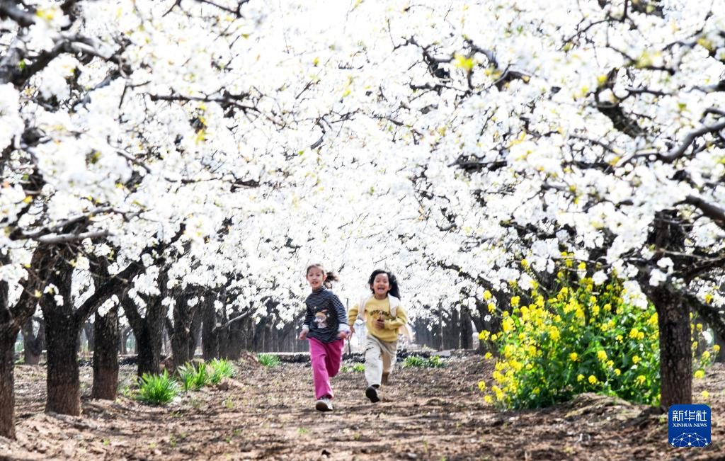 春色如许 莫负花期