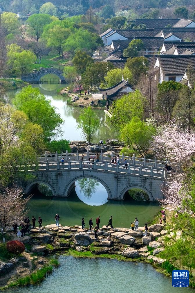 春色如许 莫负花期