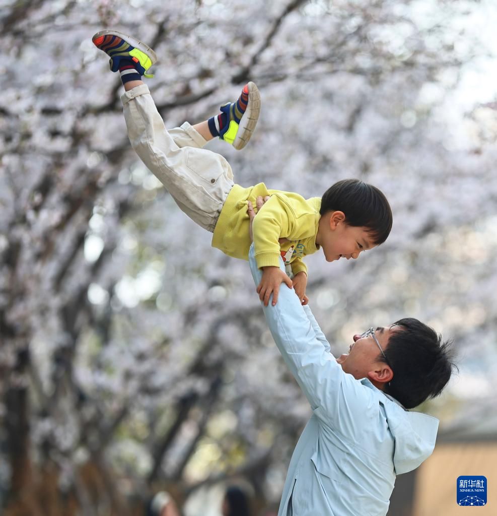春色如许 莫负花期