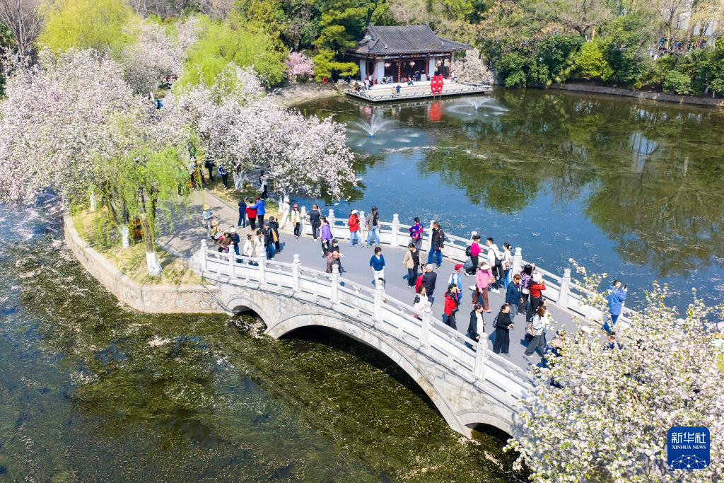春色如许 莫负花期