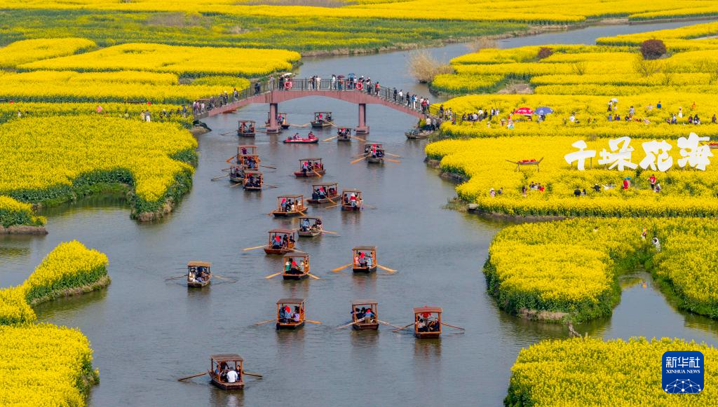 春色如许 莫负花期