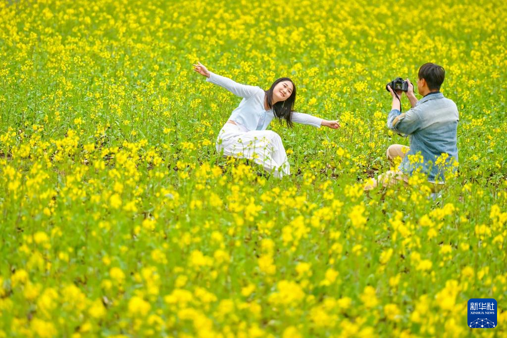 春色如许 莫负花期