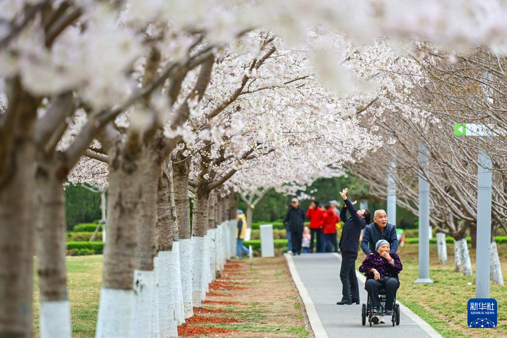 春色如许 莫负花期