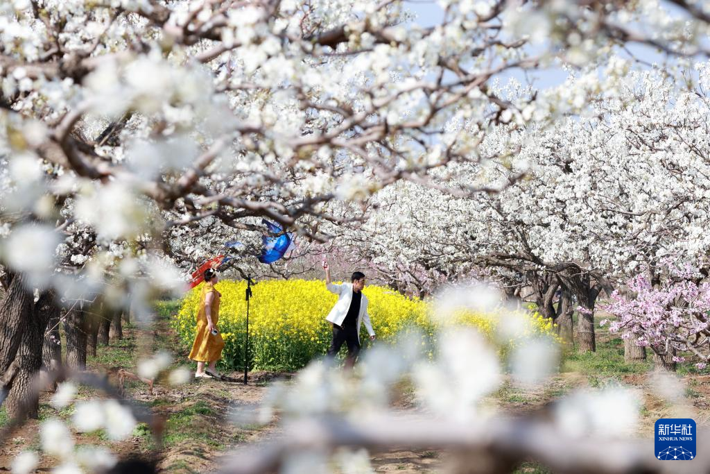 春色如许 莫负花期