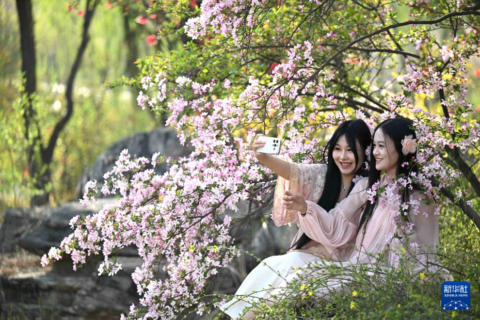 春色如许 莫负花期