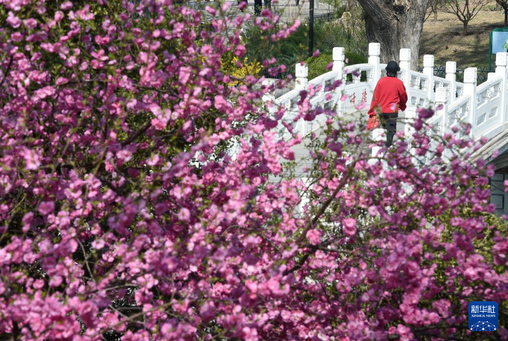 春色如许 莫负花期