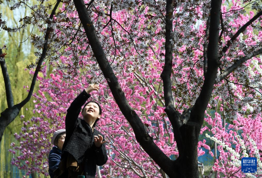 春色如许 莫负花期