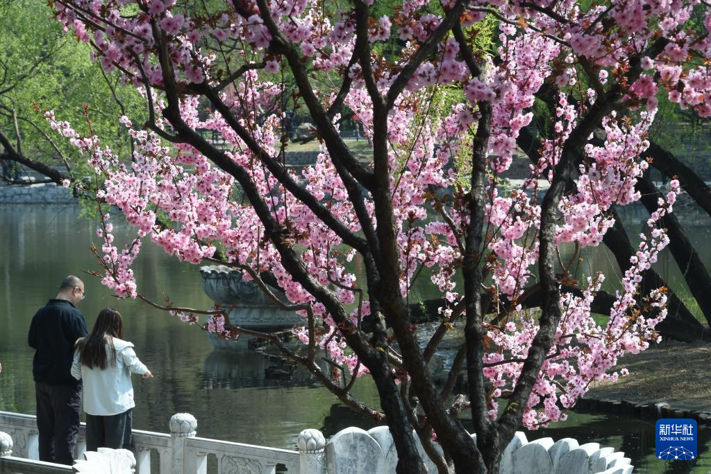 春色如许 莫负花期