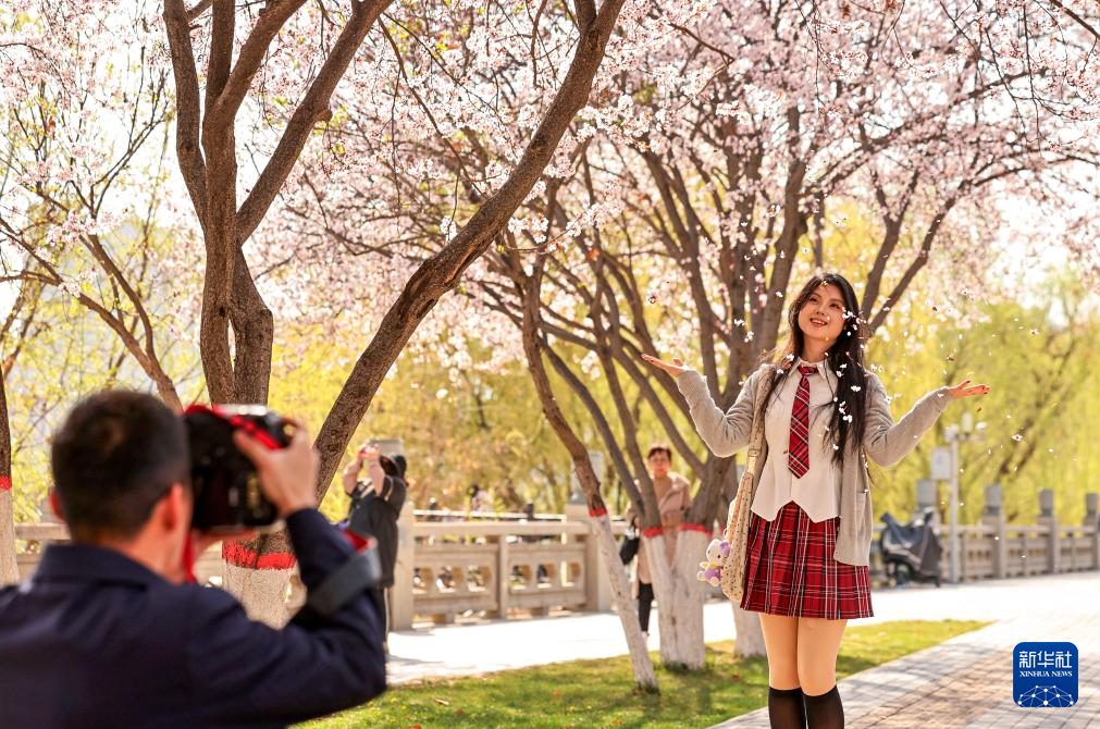 春色如许 莫负花期