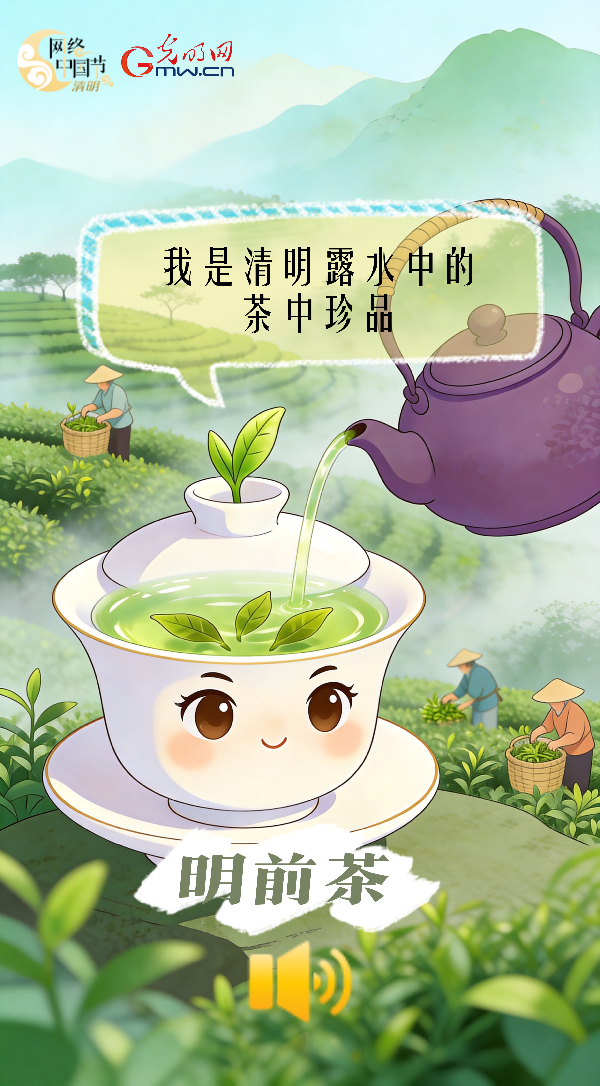 明前茶：我是清明露水中的茶中珍品