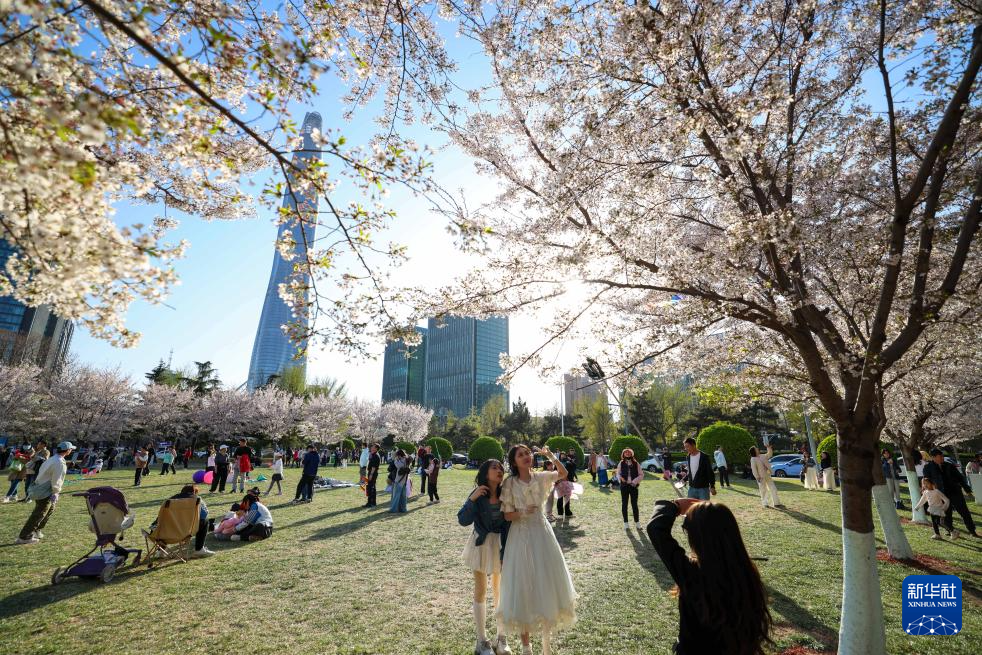 【网络中国节】“Plus版”清明假期 解锁文旅新体验 【网络中国节】“Plus版”清明假期 解锁文旅新体验