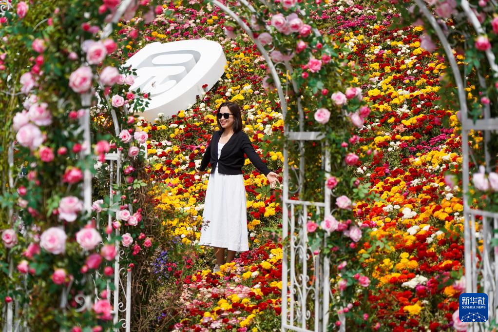 山东淄博:繁花绽放激活春日“赏花经济”