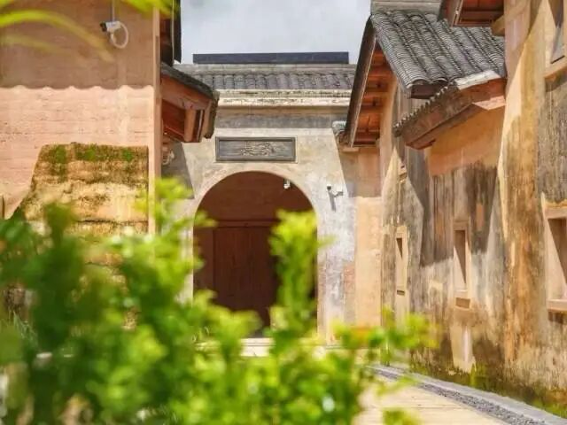 深圳坪山“四季文旅”IP，体验经济如何为游客打开情绪出口？