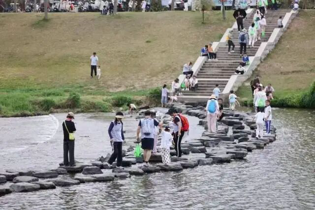 深圳坪山“四季文旅”IP，体验经济如何为游客打开情绪出口？