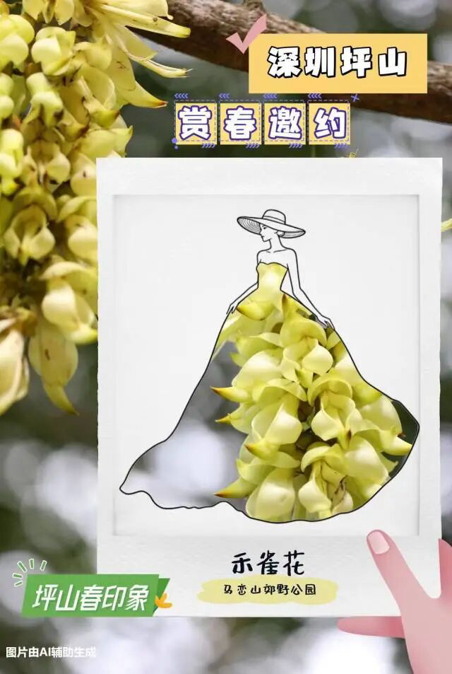 深圳坪山“四季文旅”IP，体验经济如何为游客打开情绪出口？