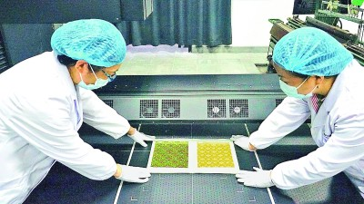 文物“交换生”：在博物馆，让中国故事的“朋友圈”连通世界