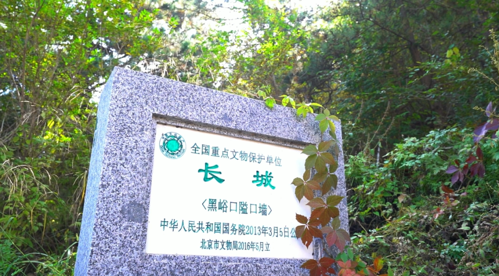 【洞见长城】第六集丨侯志刚:跑步寻长城 坚定向前行