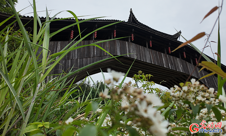 组图丨溪涧飞虹越百年，廊桥守护续华章