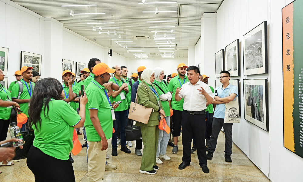 非洲学员走进塞罕坝摄影展 汲取生态治理的中国智慧 非洲学员走进塞罕坝摄影展 汲取生态治理的中国智慧
