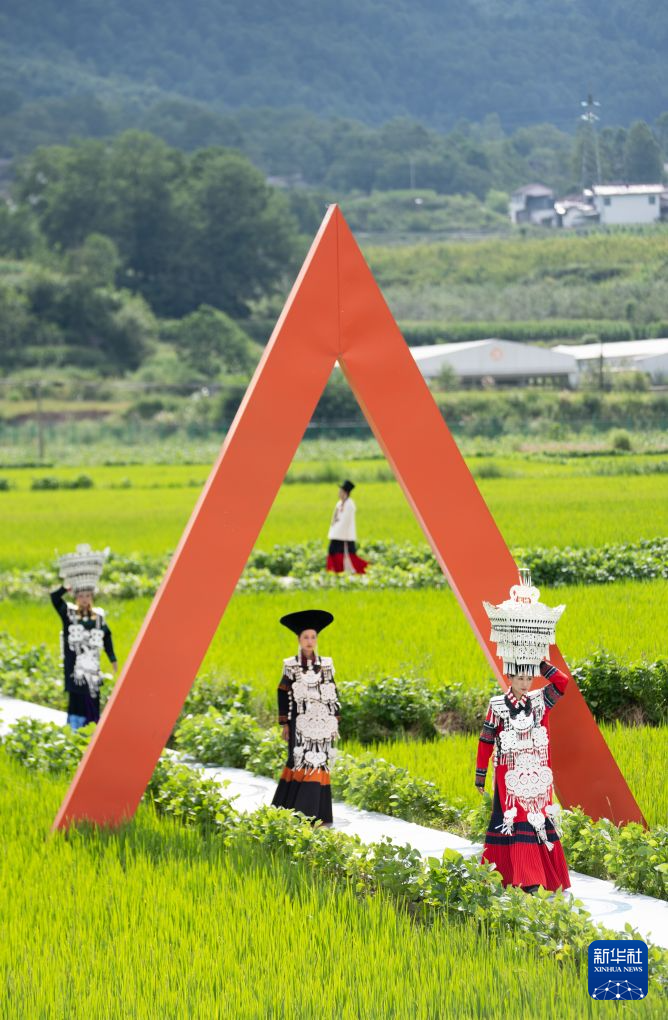 稻田赛装