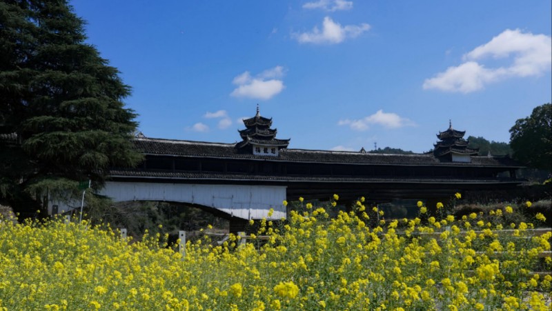 一桥承古今 守望续文脉——瞧!廊桥保护三年行动成绩斐然 一桥承古今 守望续文脉——瞧!廊桥保护三年行动成绩斐然