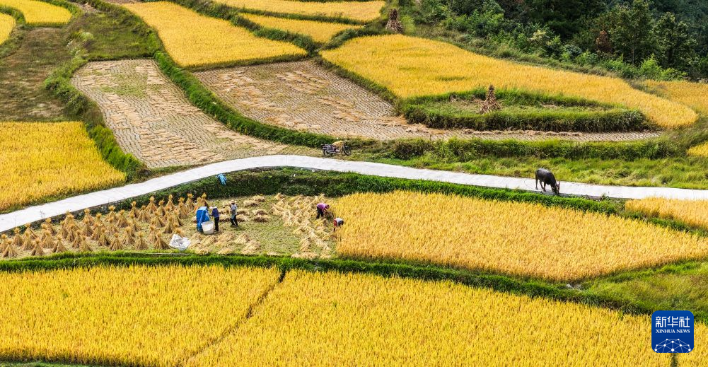 【节气里的大美中国·秋分】大地献礼，月圆人安