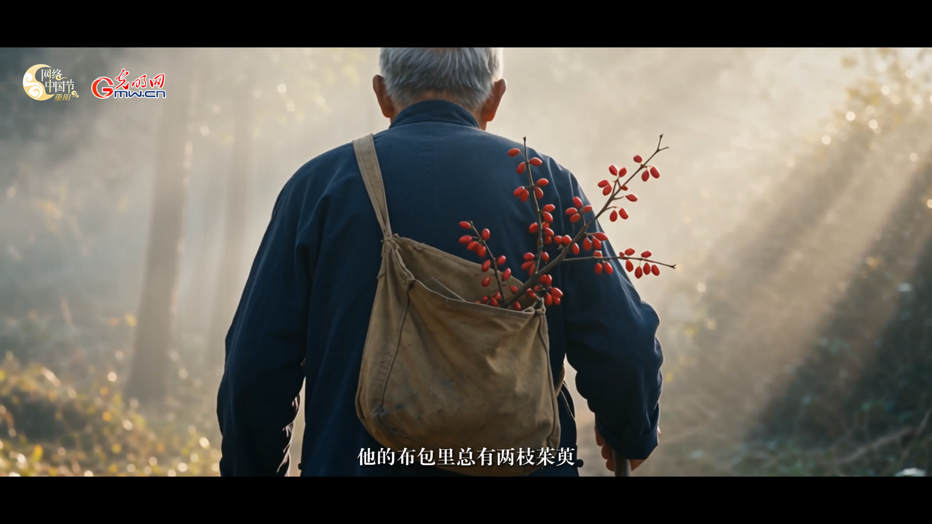 【网络中国节·重阳】微视频｜登高处